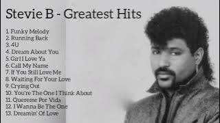 Stevie B - Greatest Hits (Funky Melody,Running Back,4U,Dream About You etc)