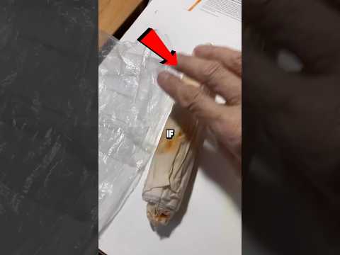 لا تأكل لفائف الدجاج هذه أبد ا