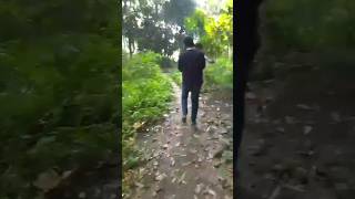 দাওয়াতে কি কি খাইলাম???? #shorts #viral #youtubeshorts #দাওয়াত