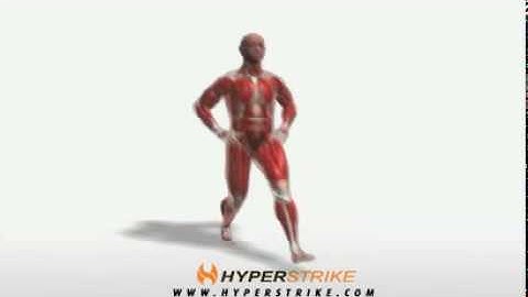 Exercise Videos- Forward Lunge - Alternating