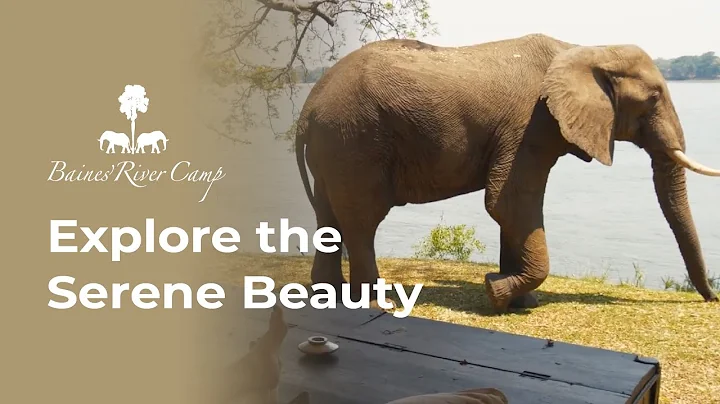 Exclusive Experiences at Baines Rivercamp: Your Guide to Adventure and Relaxation