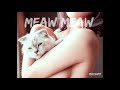  meaw  maxdim7 official song