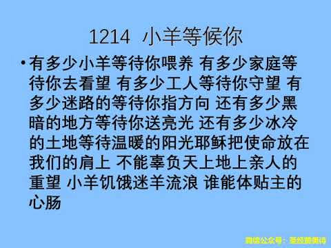 迦南诗选 1214 小羊等待你