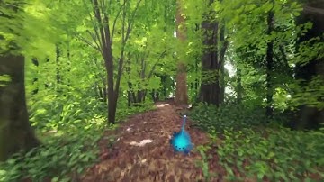 Dreams ps4 Realistic forest tests