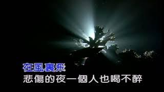 風中的遺憾~王力宏~男Gb調~伴奏~導唱3顆~金嗓(丙)