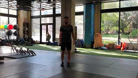 Dumbbell Single Arm Reverse Lunge to Bicep Curl