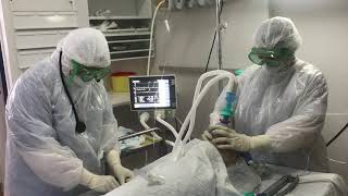 Intubation d un patient Covid 19