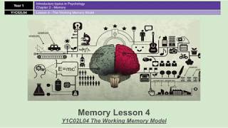 A-Level Psychology (AQA): Memory - The Working Memory Model
