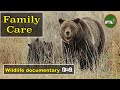 Animal planet04 family care       wildlife documentary  natureofearthhindi