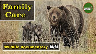 Animal Planet-04 Family Care   हिन्दी डॉक्यूमेंट्री   Wildlife documentary  @NatureOfEarthHindi