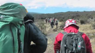 Kilimanjaro Exhibition 2012