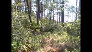1956 Indigo, Holley by the Sea, Navarre Florida 32566