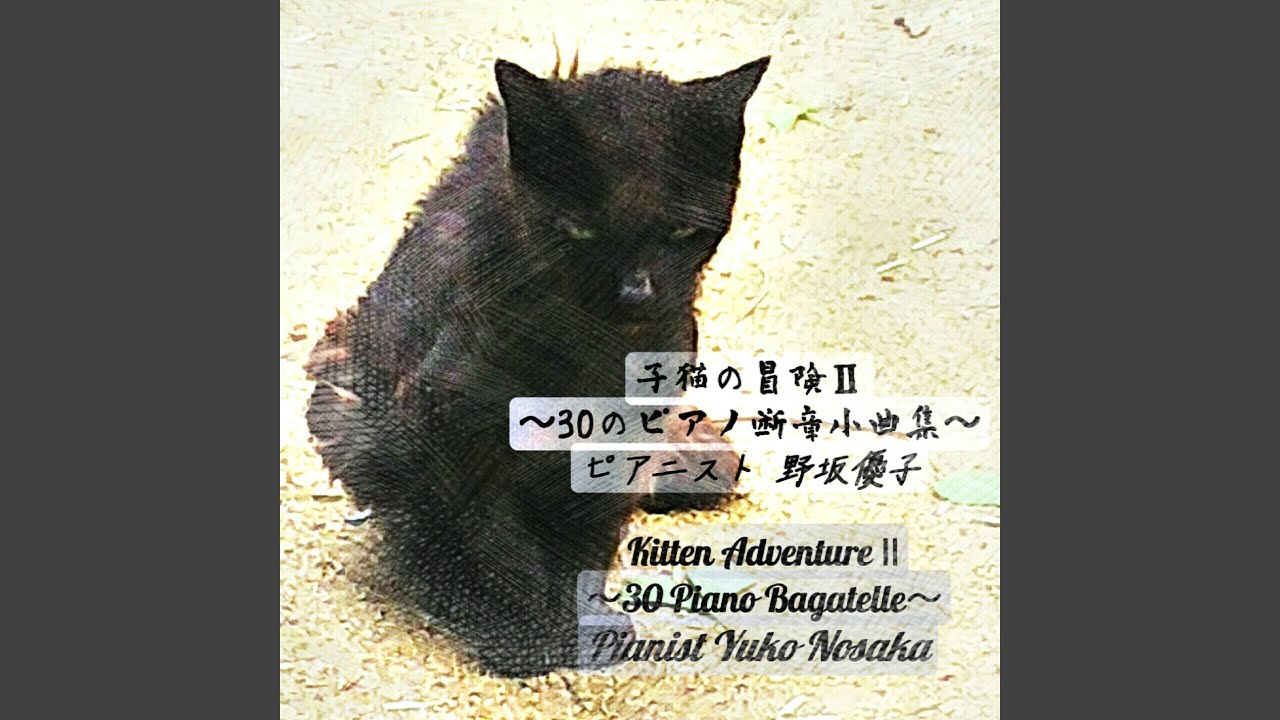 在 YouTube 上观看 雨の夜に消えた母猫～断章作品４５番