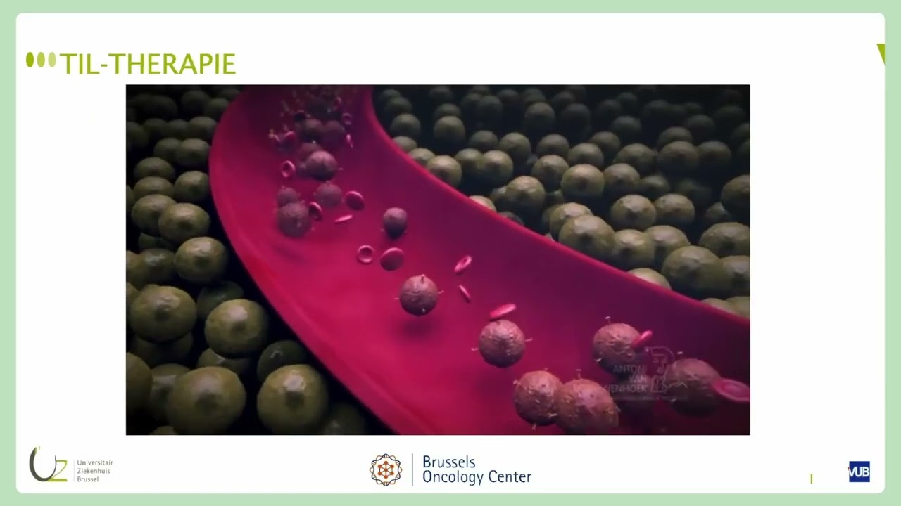 Studiedag Melanoompunt MNP 26 18 Dr  Iris Driven   Hein Jambroers