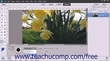 Photoshop Elements 13 Tutorial The Cookie Cutter Tool Adobe Training