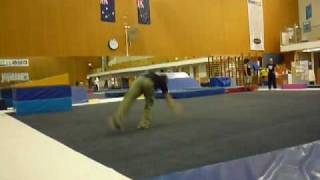 Practicing Some Flips