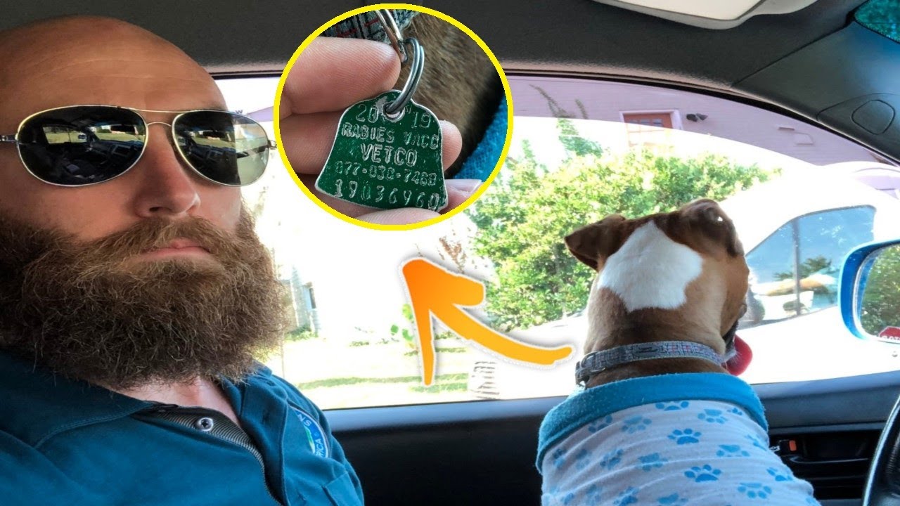 Man Who Picks Up A Lost Dog Spots One Detail That Shocks Him YouTube