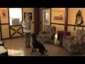 Sonoma County Dog Trainer, Camilla Gray-Nelson Demonstrates Dog Talk Diva Training Products Sonoma County Dog Trainer, Camilla Gray-Nelson Demonstrates Dog Talk Diva Training Products