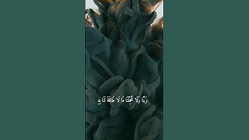 تلاوة خاشعة للشيخ منشاوي💚 #اكسبلور #quran #القران #استغفر_الله #اكسبلورر