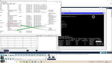 12.6.1-Packet-Tracer---Troubleshooting-Challenge---Document-The-Network
