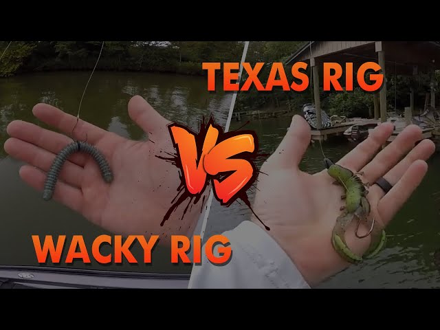 Product Review  Wacky Rig VS Texas Rig 