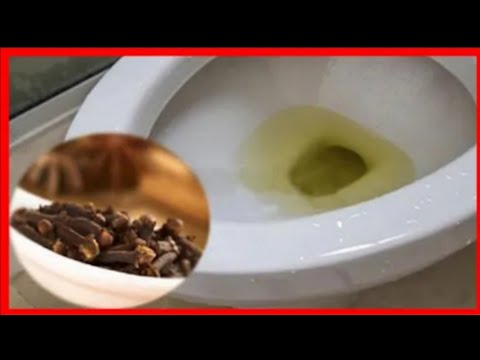 🚽Éliminez l&rsquo;odeur d&rsquo;urine de votre salle de bain 🚽 avec des clous de girofle