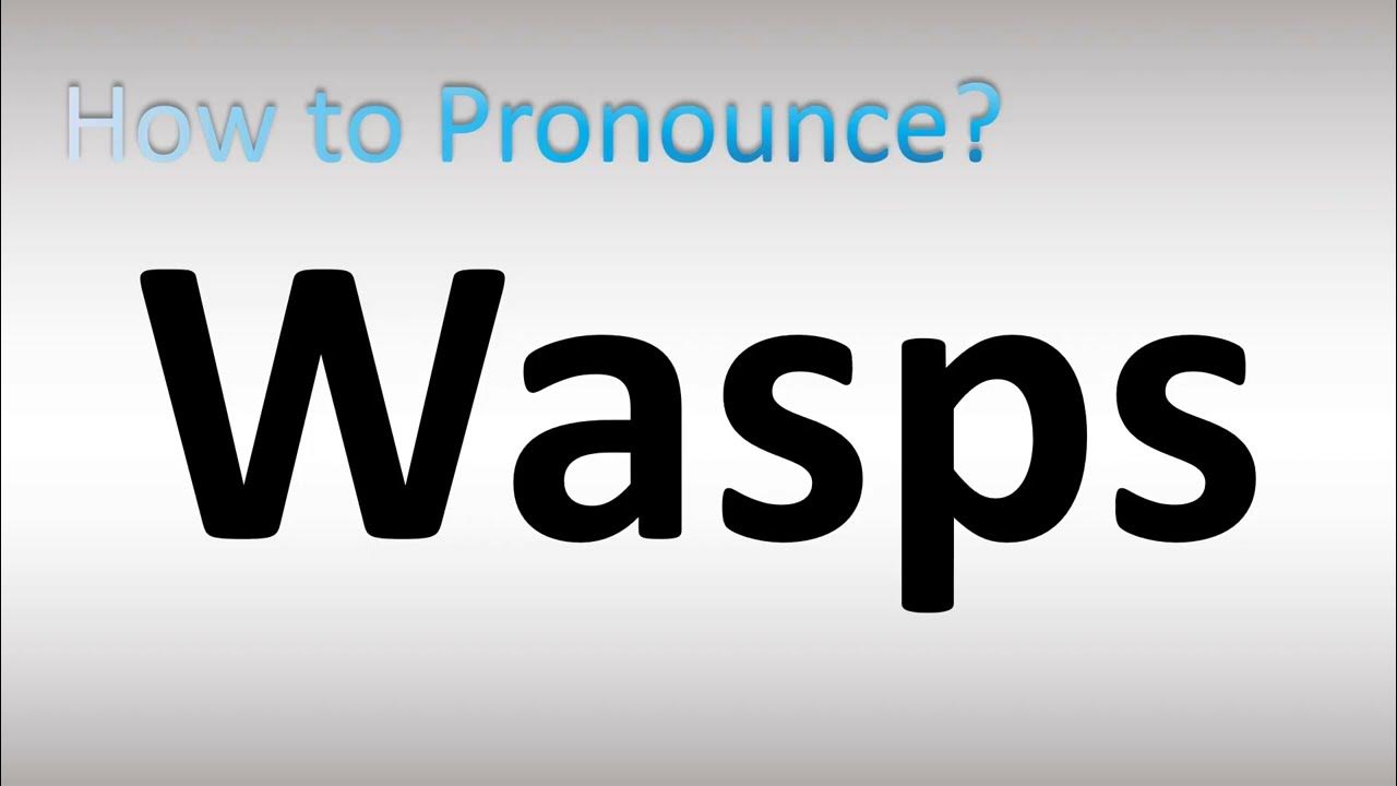 How to Pronounce Wasps YouTube