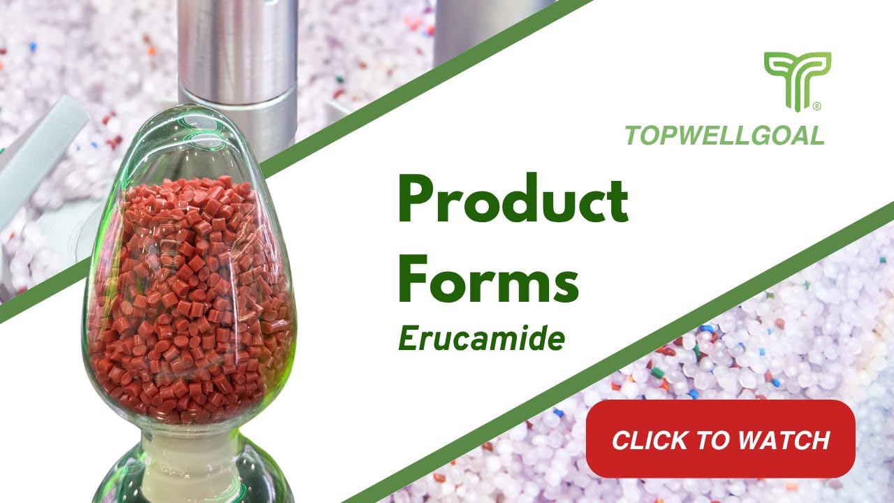 Different Forms of Erucamide | TOPWELLGOAL