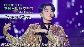 Waka Waka | 포레스텔라 조민규(Cho MinGyu) | The Beginning : World Tree in Daegu | 220814(일)