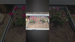 TOUFUN Metal Raised Garden Bed Outdoor for Vegetables Flowers & etc link is below ⬇️ 🔗⬇️❤️🌹😍