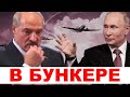 Янукович заменит Лукашенко  / Россия готовит провокацию
