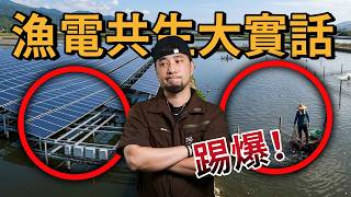 太陽能板不是你想的那樣 走訪全台灣 屋頂、魚塭、回收廠 找太陽能板的真相是？【超認真少年】solar panel