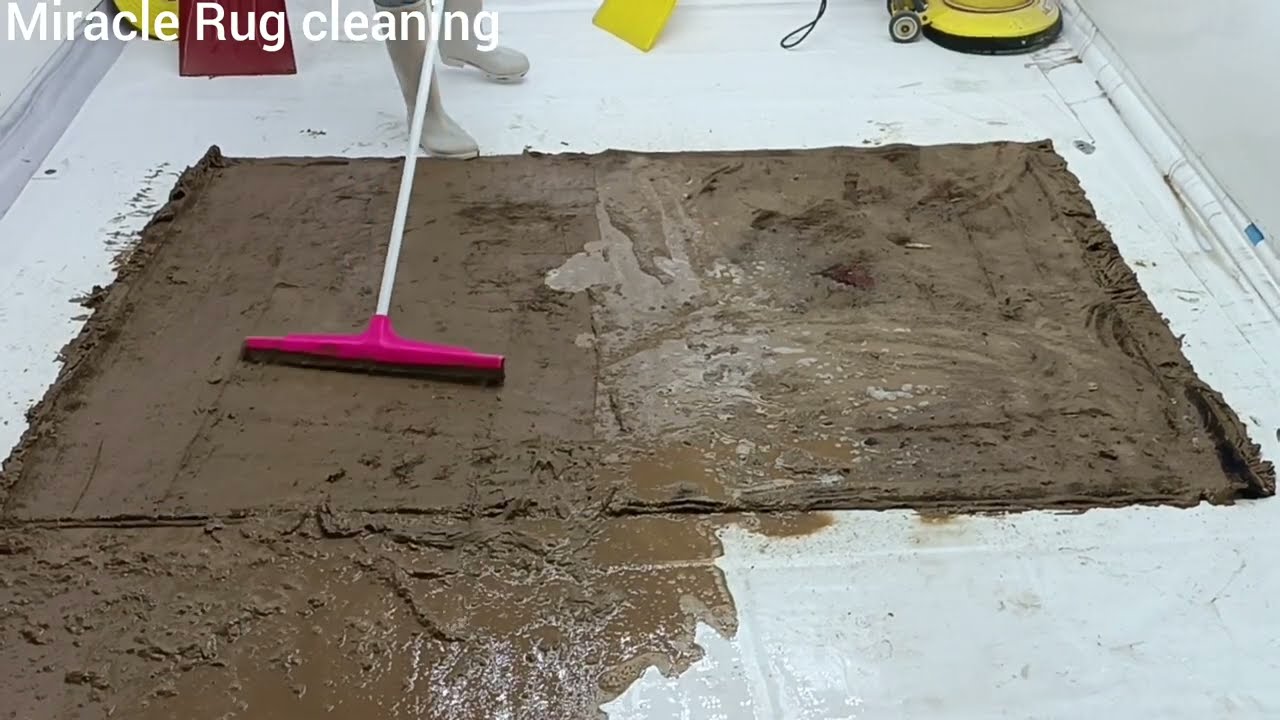 Carpet Cleaning Experts Reveal Their Top Secrets for a SPOTLESS Floor!