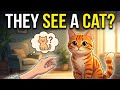 Your Cat Doesn't See You as Human (Here's What They Actually See)