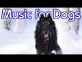 Ultimate Chillout Music for Dogs! NEW Reggae Music for Dogs 2018 🐶