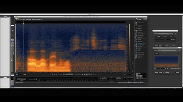 Izotope RX How to Clean Up Overlapped Dialogue