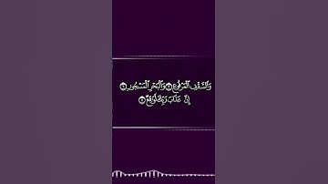 تلاوة مرتلة من سورة الطور # جمال المقامات