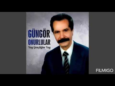 Güngör Onurlular- Ankara Gel Gel