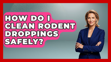 How Do I Clean Rodent Droppings Safely? - Insects and Invaders