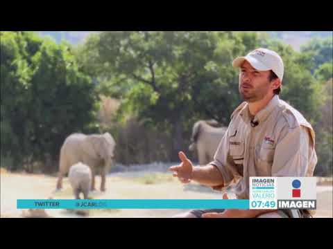 Cierra Africam Safari  Noticias con Juan  Carlos  Valerio 