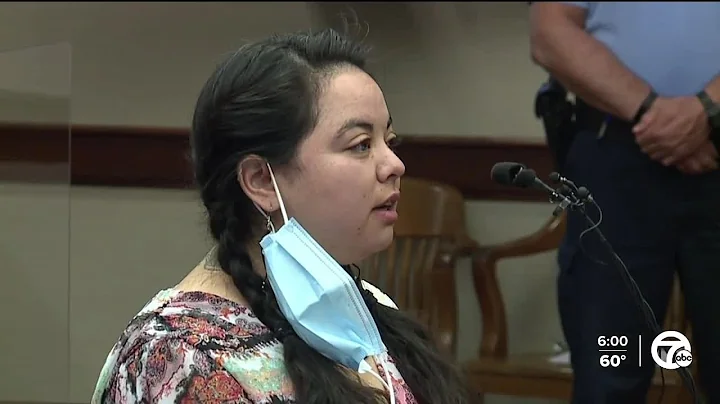 State Rep. Mary Cavanagh sentenced to sobriety cou...