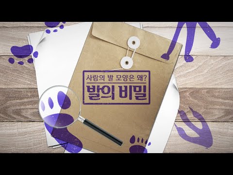 발의 비밀 - 사람의 발 모양은 왜?