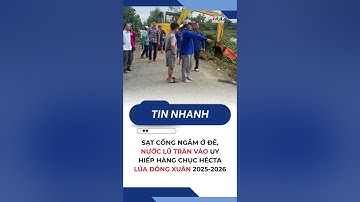 Sạt cống ngầm ở đê, nước lũ tràn vào uy hiếp hàng chục hécta lúa Đông Xuân 2025-2026