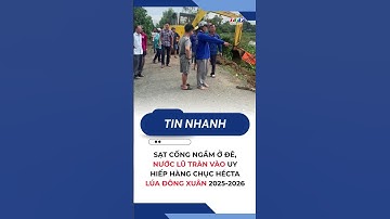 Sạt cống ngầm ở đê, nước lũ tràn vào uy hiếp hàng chục hécta lúa Đông Xuân 2025-2026