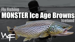 W4F - Fly Fishing Iceland "Monster Ice Age Browns" Þingvallavatn