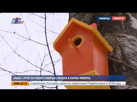 Акция «Летят на родину скворцы» прошла в парках Люберец