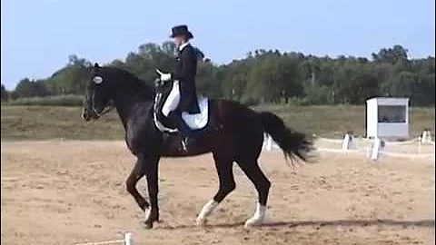 Donavan 2002 Sorensen Show.mpg