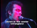 Capture de la vidéo The Stranglers   Live French Tv 1979