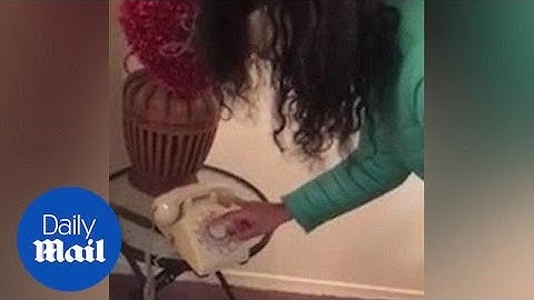 Hilarious moment kid can