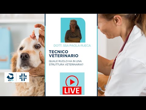 Video: Come i veterinari gestiscono il secondo indovinato